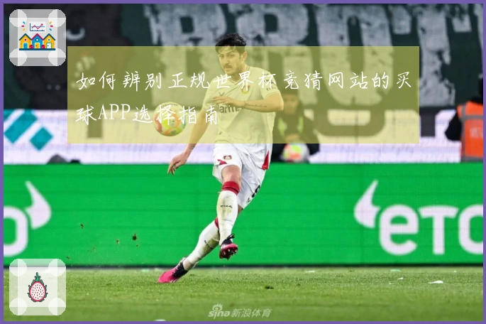 如何辨别正规世界杯竞猜网站的买球APP选择指南