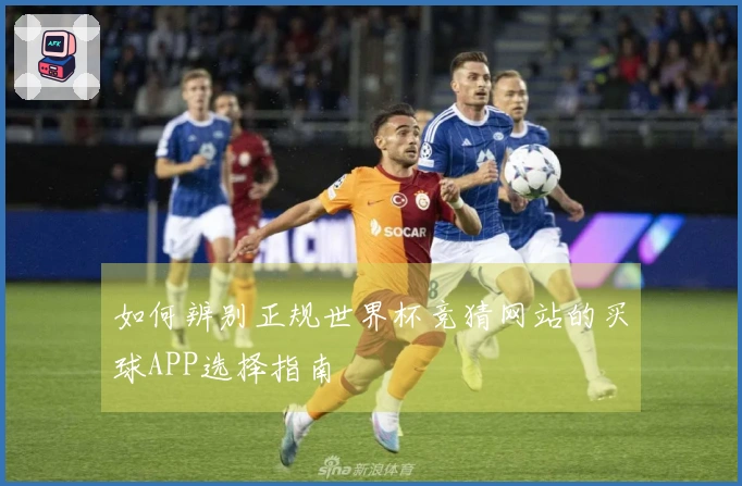 如何辨别正规世界杯竞猜网站的买球APP选择指南