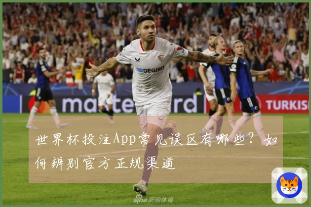 世界杯投注App常见误区有哪些？如何辨别官方正规渠道