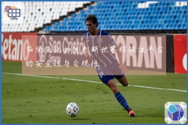 临场变化如何判断世界杯投注平台的安全性与合规性