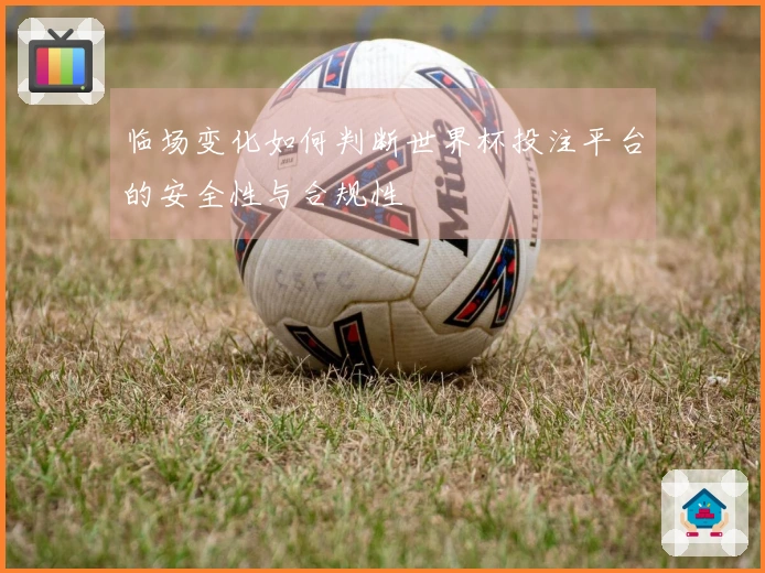 临场变化如何判断世界杯投注平台的安全性与合规性